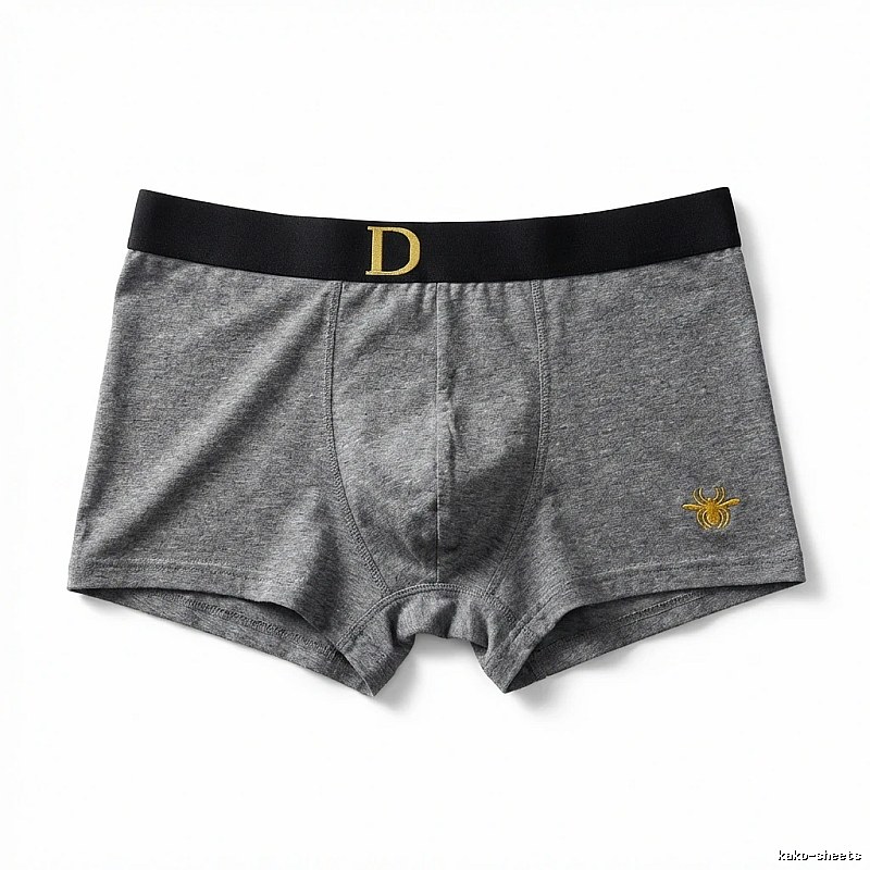 Dior minimalist style grey underwear