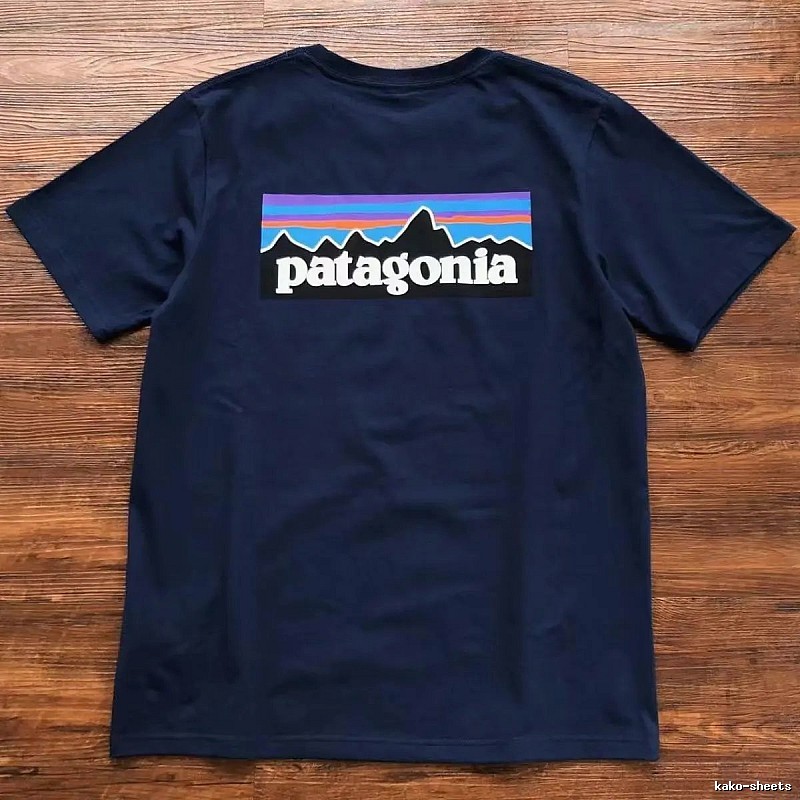Patagonia Navy Logo T-Shirt City Outfit Graphic